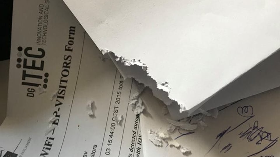 Europoslanci Jiřími Paynovi ohlodala v kanceláři dokumenty myš